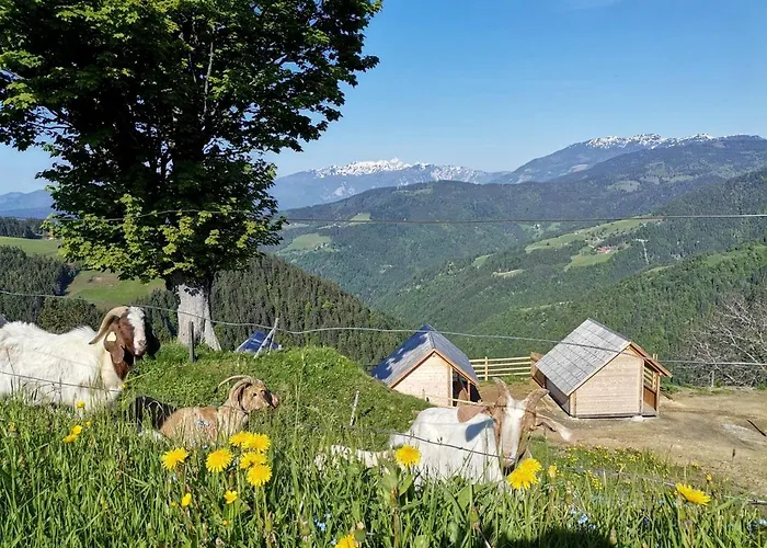 Scenic Glamping Huts With Mountain Views Near Ljubno Ob Savinji, Slovenia Casa vacanze
